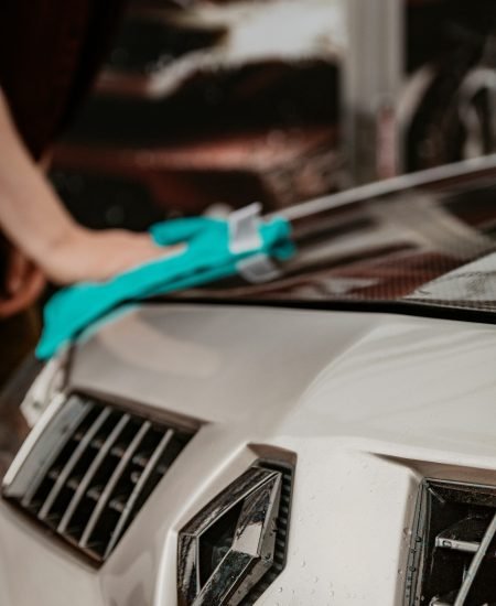 renault parts cleaning